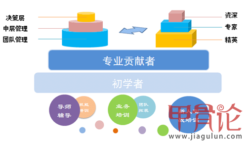 员工职业发展体系